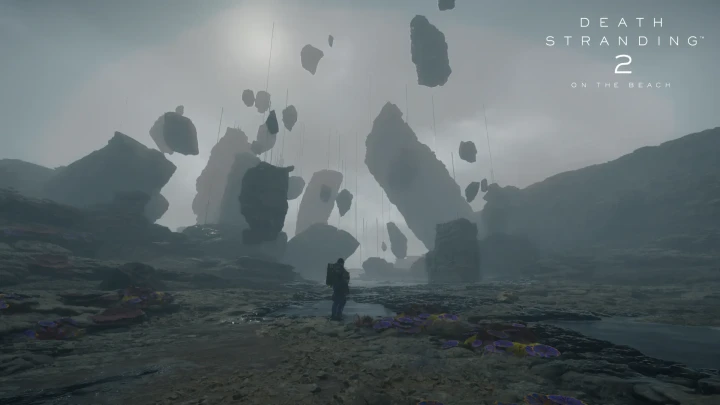 Sam walks between puddles and purple flowers beneath huge rocks floating in the air, in a fog-covered valley.
